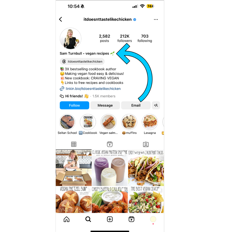 Sam Turnbull's Instagram profile, with an arrow pointing to her name field.