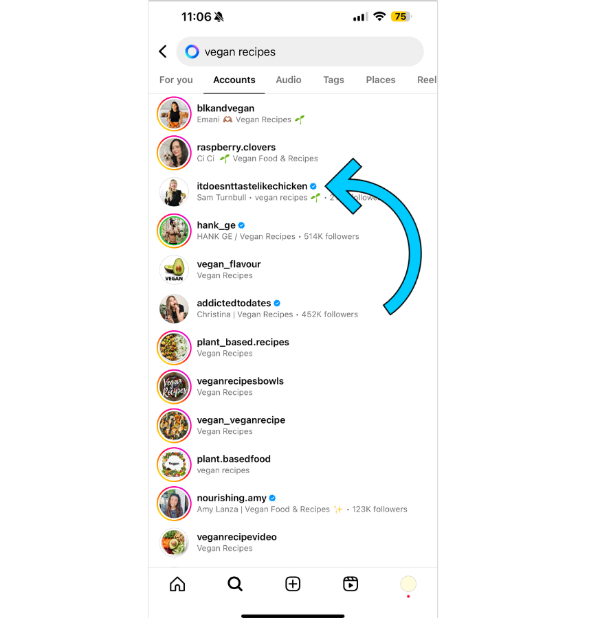 Sam showing up in Instagram's search results when "vegan recipes" is searched.