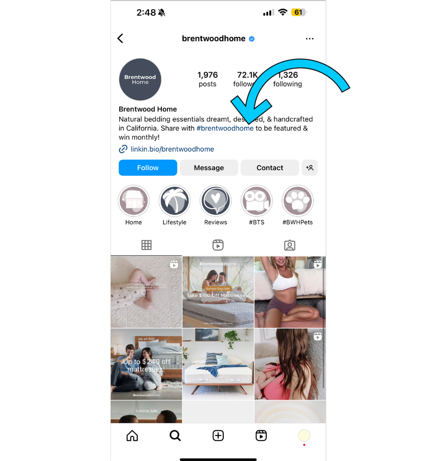 Brentwood Home's Instagram bio with an arrow pointing to their branded hashtag.