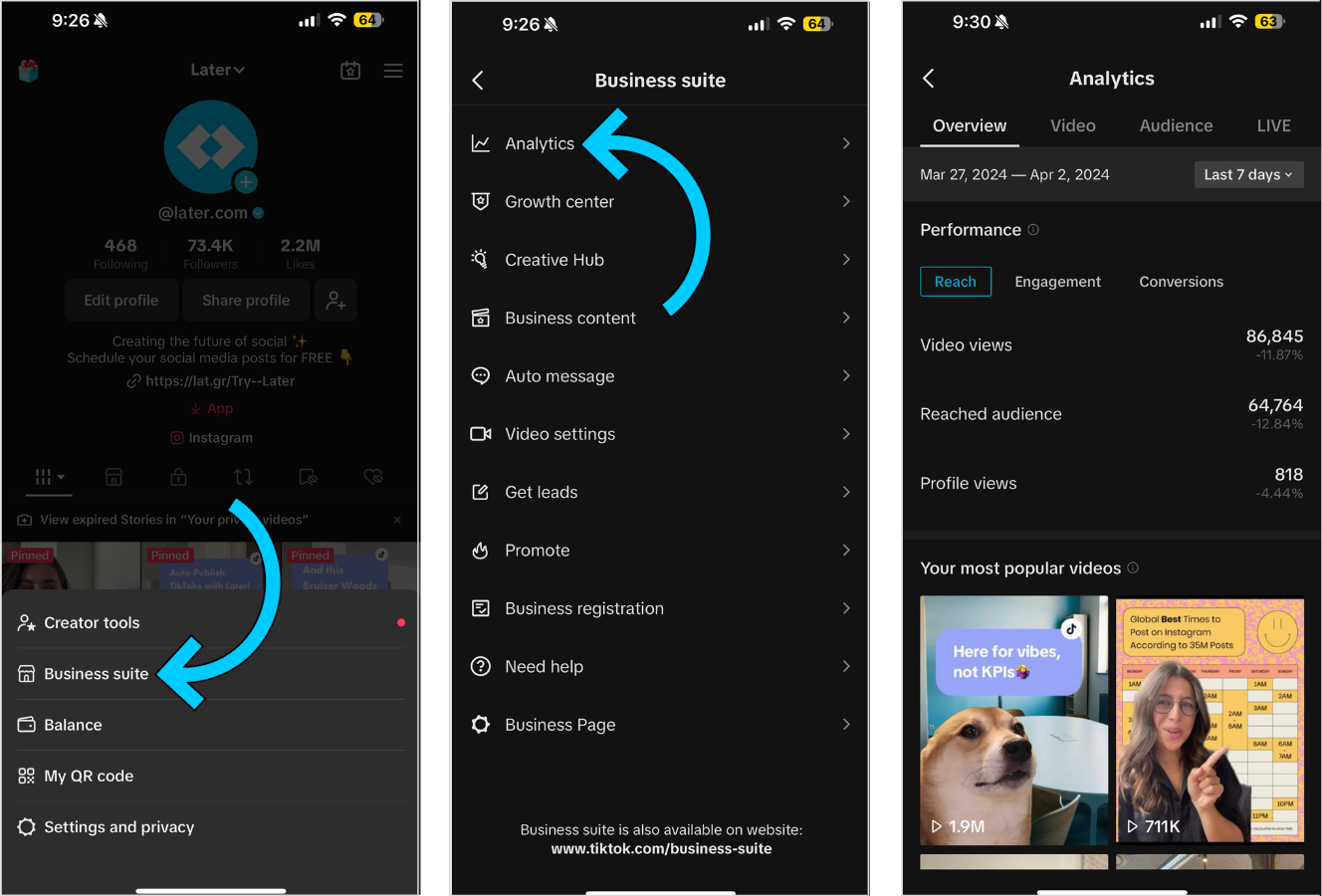 TikTok Analytics Tool